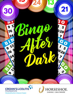 Copy of Bingo Night Flyer