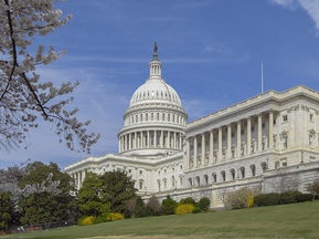 Capitol, Washington, D.C. USA