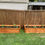 Thumbnail: Existing Raised Bed Planting