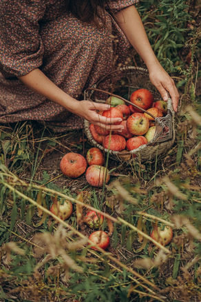 Il frutto non cade mai troppo lontano dall’albero 
