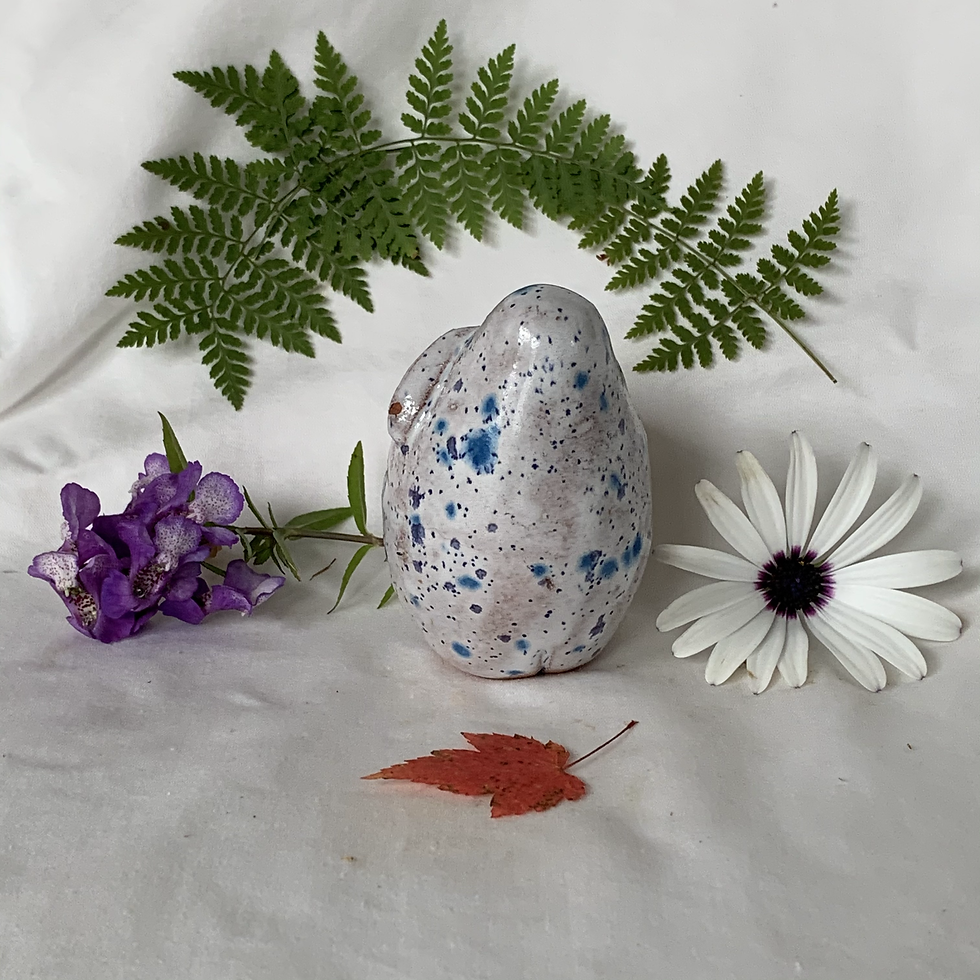Thumbnail: Blue Speckled Egg