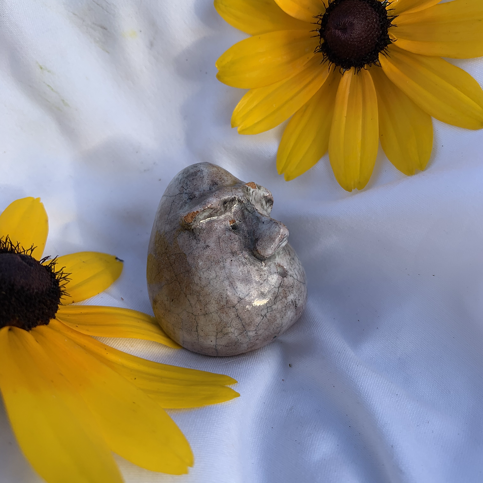 Thumbnail: Small White Crackled Egg
