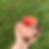 Thumbnail: Pink Moo Moo Dish/Ashtray