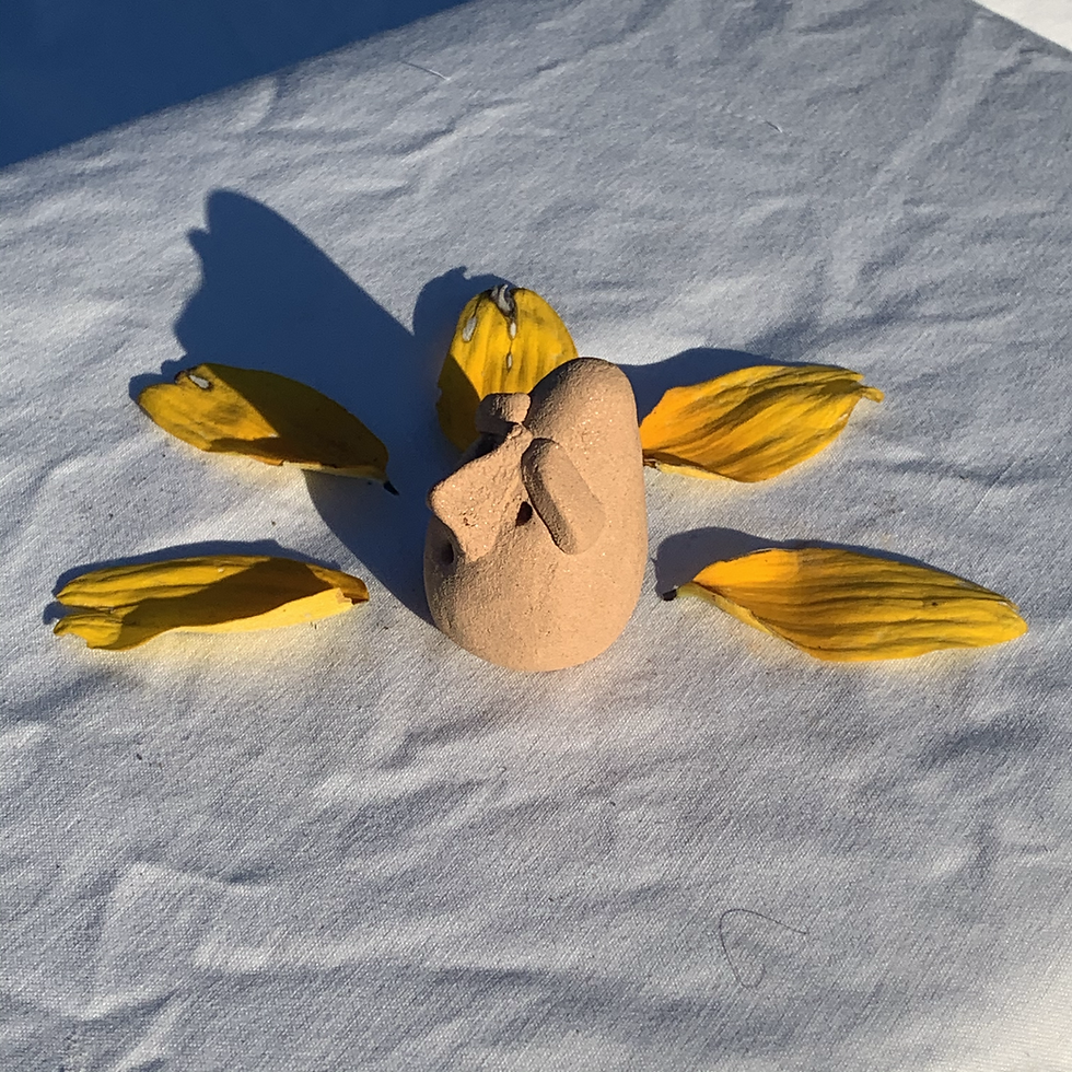Thumbnail: Pocket Egg
