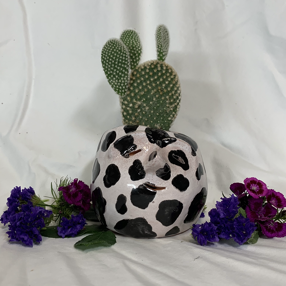 Thumbnail: Cow Egghead Planter