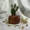 Thumbnail: Small Face Planter