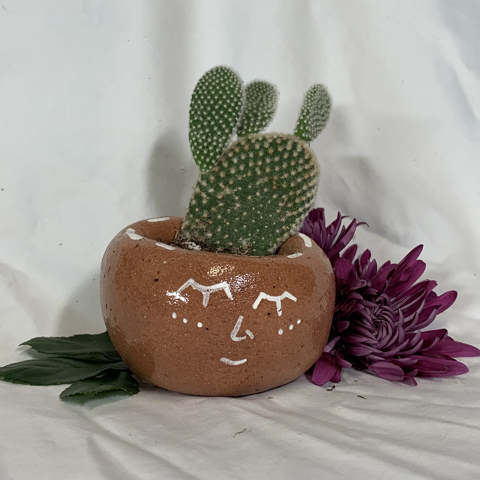 Thumbnail: Small Face Planter