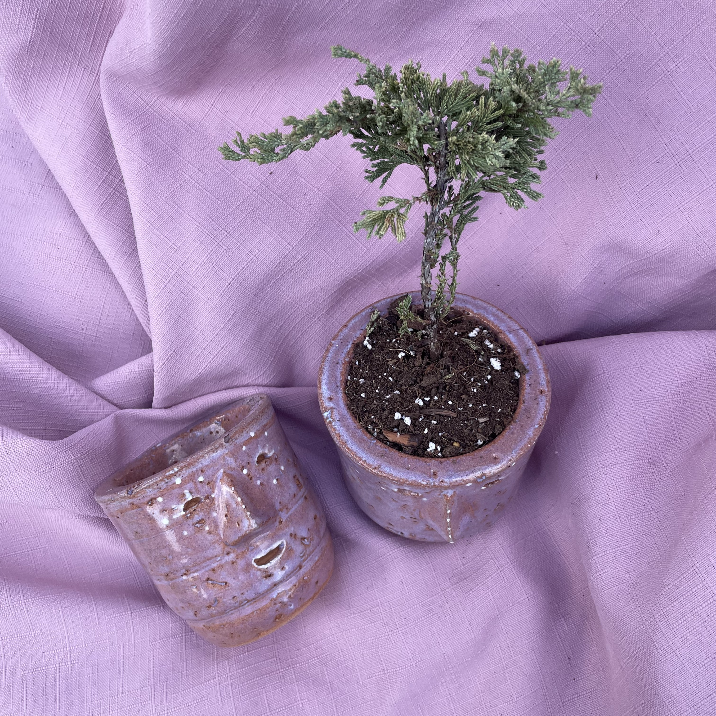 Tall Egghead Planters