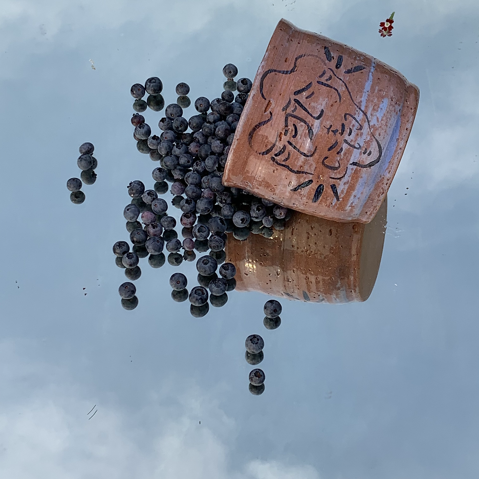Thumbnail: Together, we have a voice, Bowl