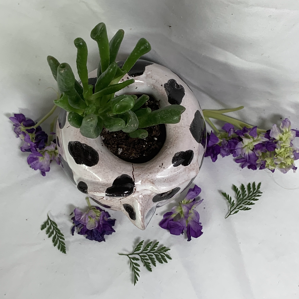 Thumbnail: Cow Egghead Planter
