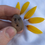 Thumbnail: Pocket Egg