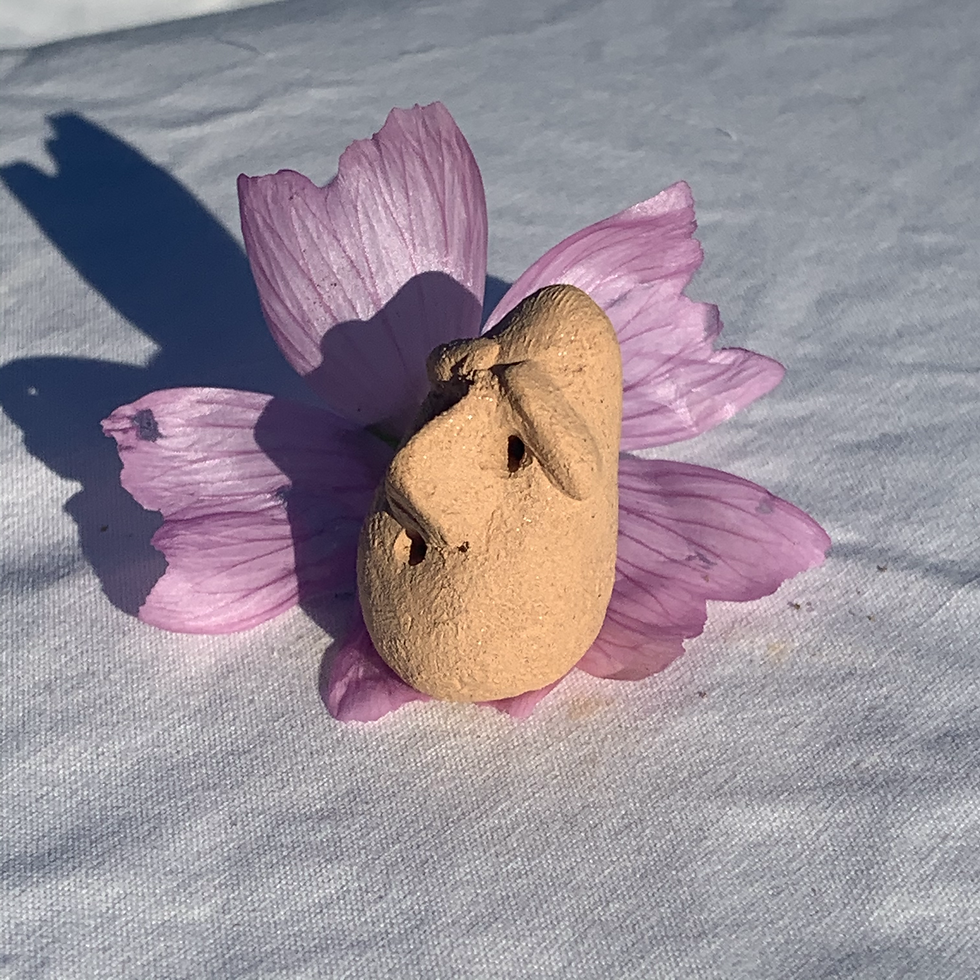 Thumbnail: Pocket Egg