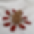 Thumbnail: Pocket Egg