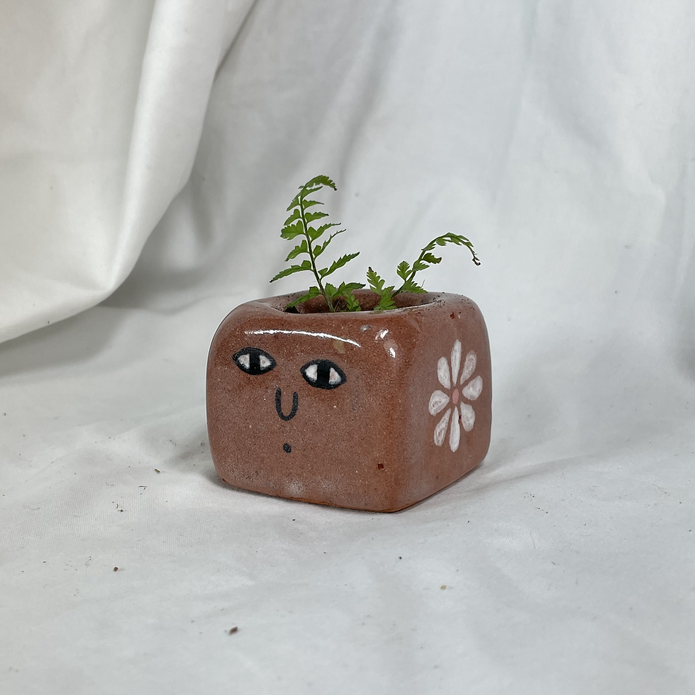 Thumbnail: Square Planter