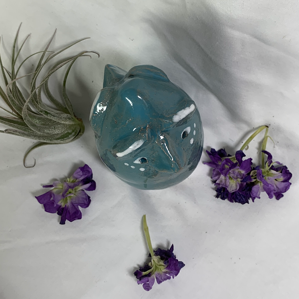 Thumbnail: Double Headed Lagoon Colored Egg
