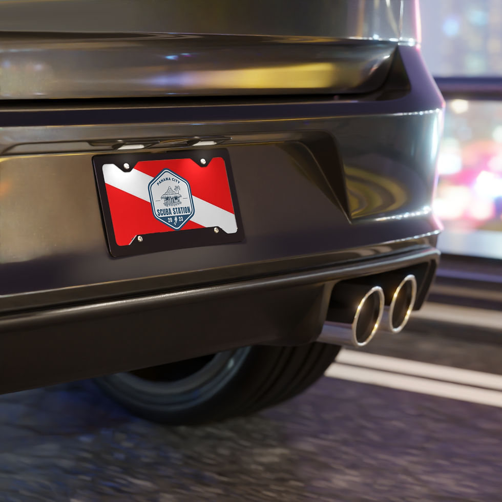 Thumbnail: Vanity License Plate Scuba Station Dive Flag