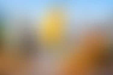 Bright sparkling Valerie cocktail with rum, peach puree, orange juice, and prosecco served in a champagne flute with dehydrated citrus garnish on a sunny rooftop bar