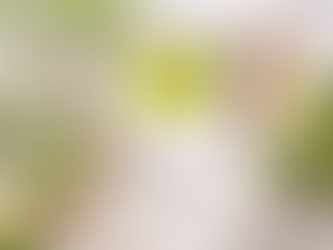 Greene Goddess Cocktail Recipe | Fresh Cucumber Gin Cocktail with Elderflower