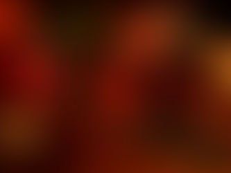 Fall Harvest: Seven Flavors of the Season