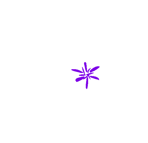 IMG_0729.GIF