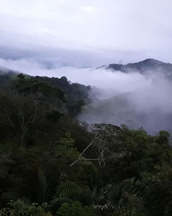 20190422_182817.jpg