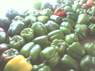 WE Farmers Market ATL Open June 5-June 5- Sept 29 ,2020 Fridays 4-8pm Saturday 10-2pm