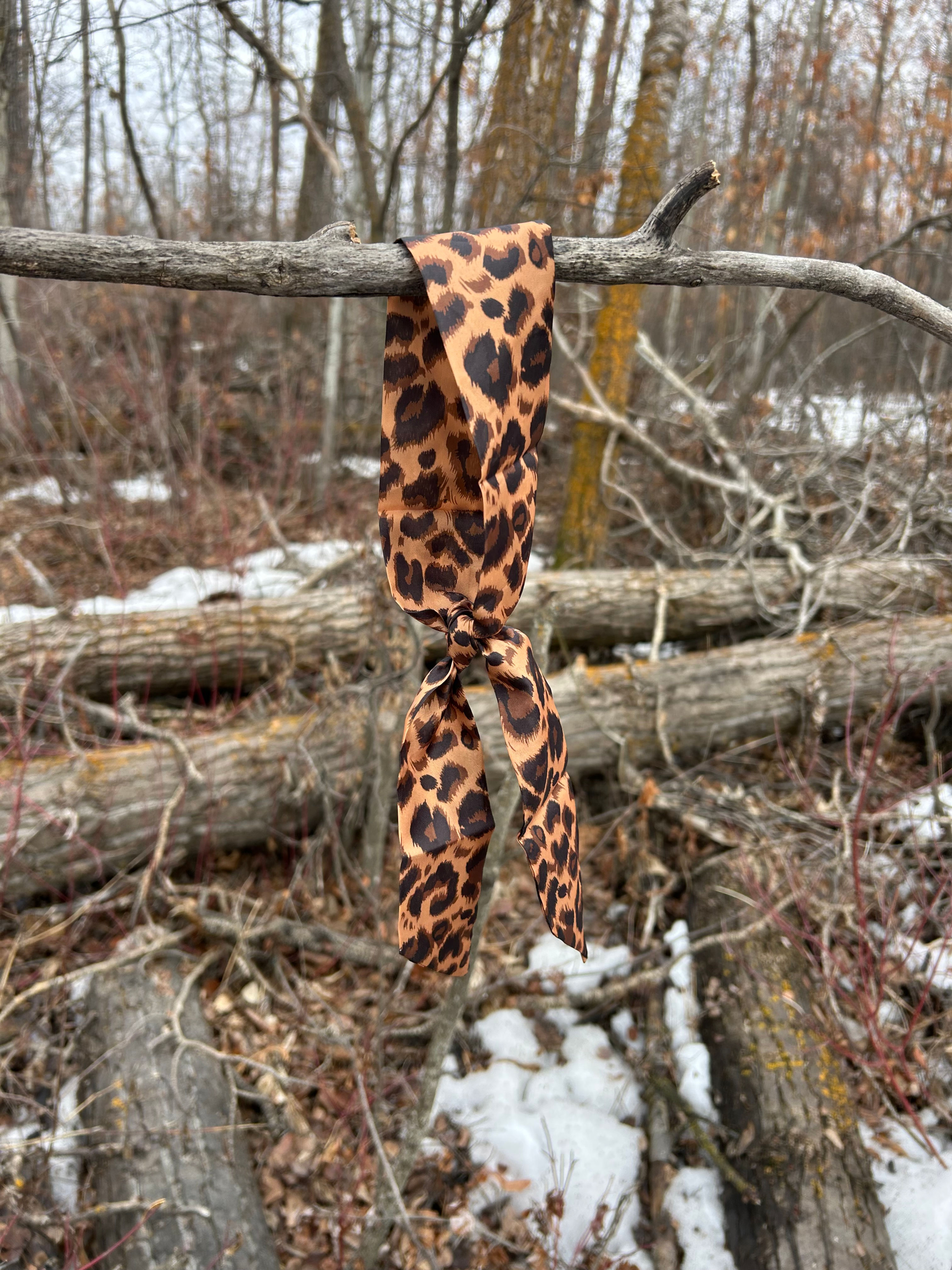 Classic Leopard Print Twilly