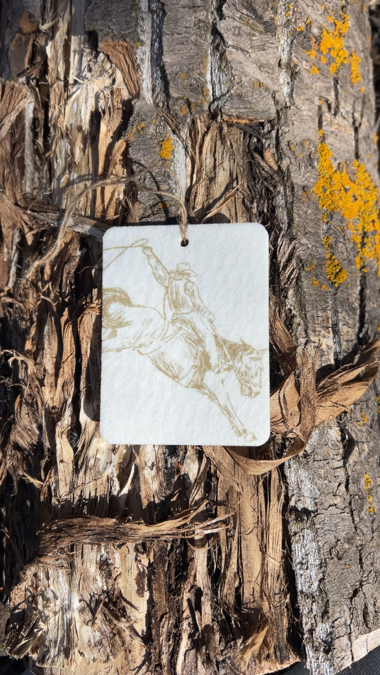 "Brown Bronc" Felt Freshie