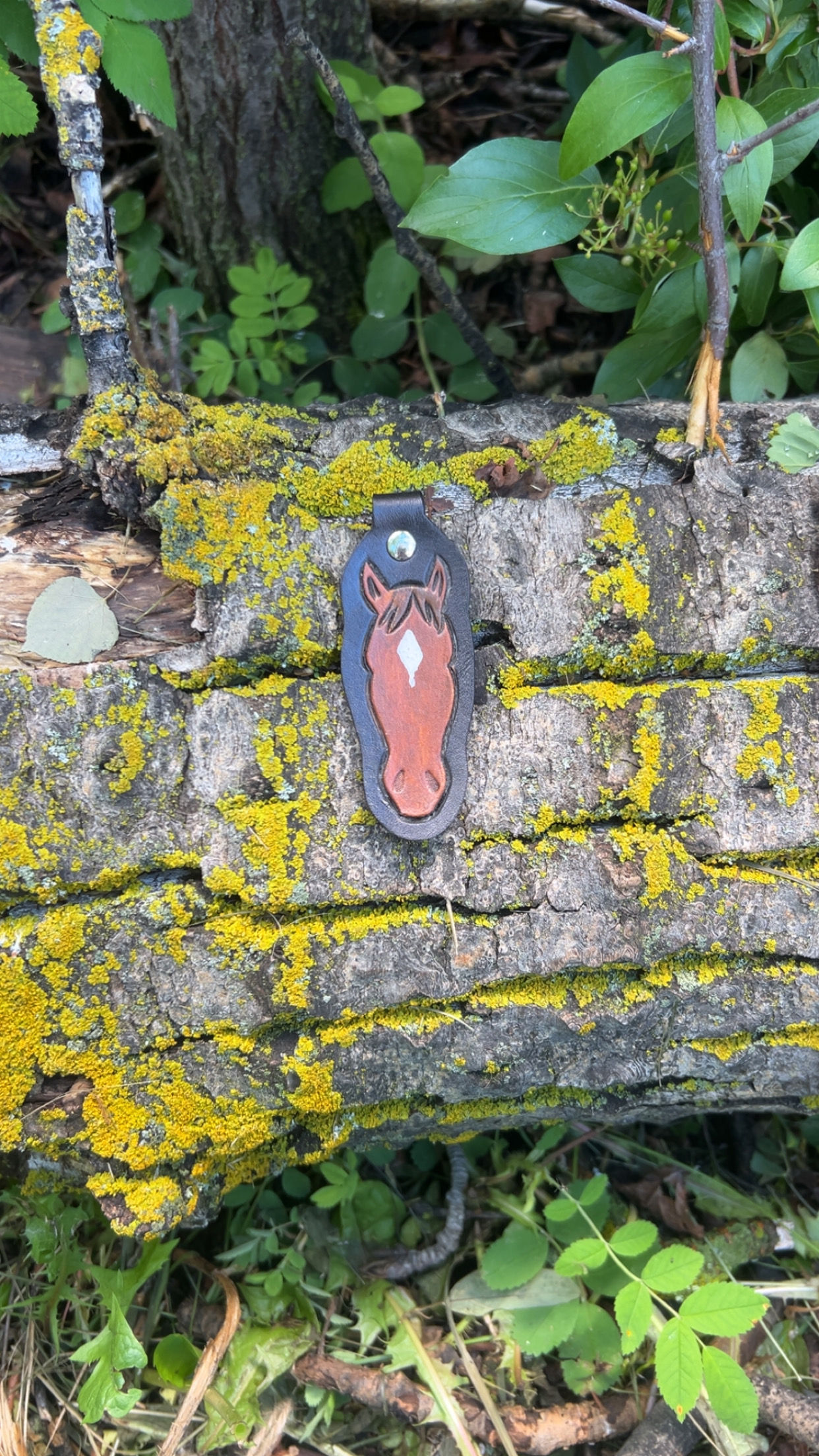 Dimond Spot Horse Head