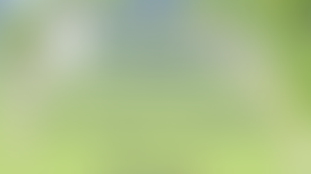 Donate an Auction Item and Help Northaven Bloom