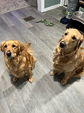 IMG_8829.JPEG