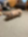 IMG_3313.JPEG