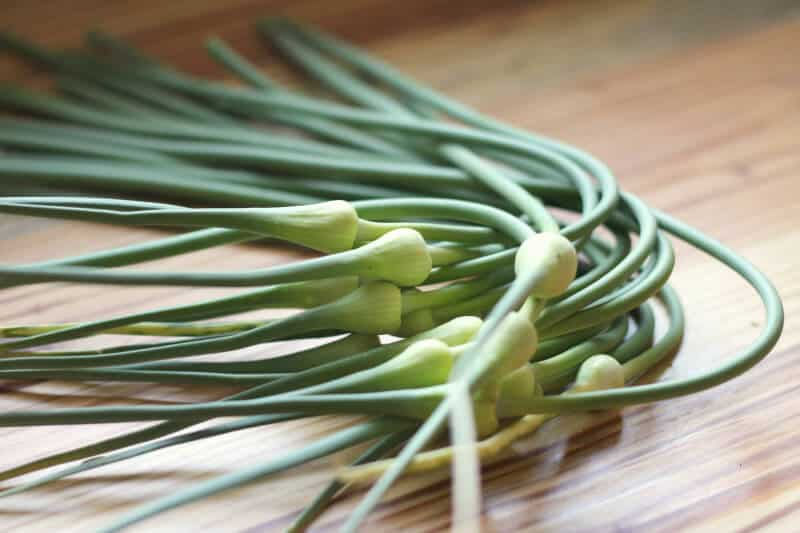 Thumbnail: Garlic scapes (Potter's Garlic)