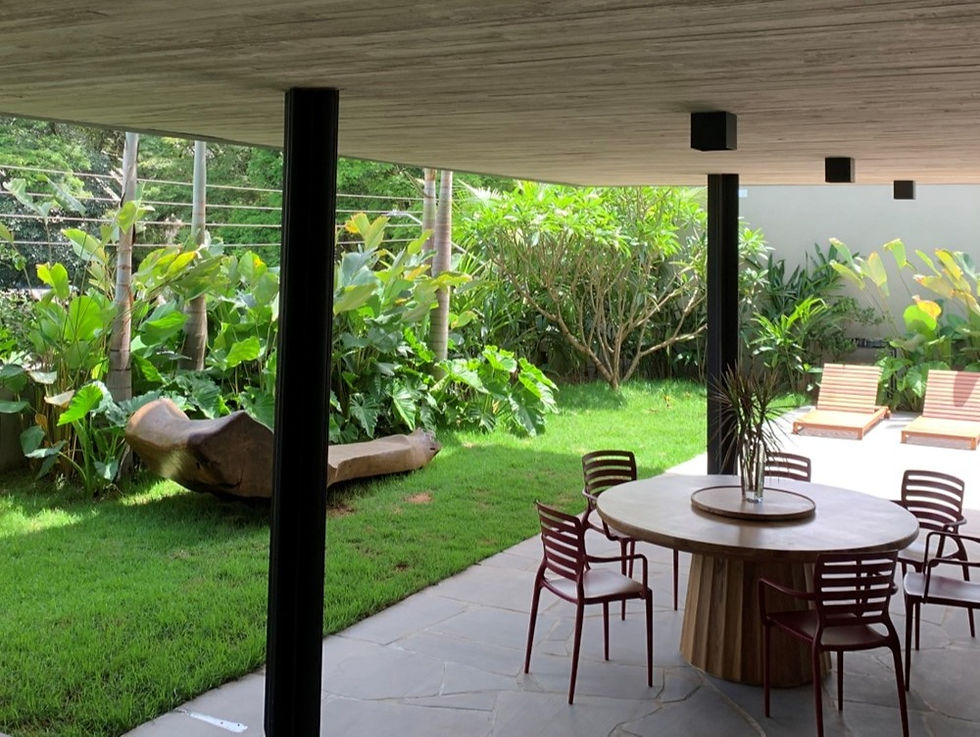 Obra Bruno Meirelles_edited.jpg