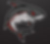 ruby shark 22-23.jpg