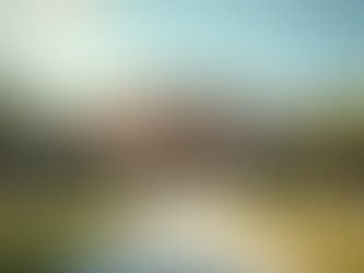 Exploring Multicultural Mental Health in Texas Communities