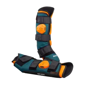 Miniatura: BEMER Horse - Kit