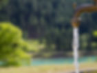 Robinet eau assainissement 49