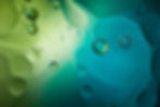 stock-photo-abstract-background-mixed-water-oil.jpg