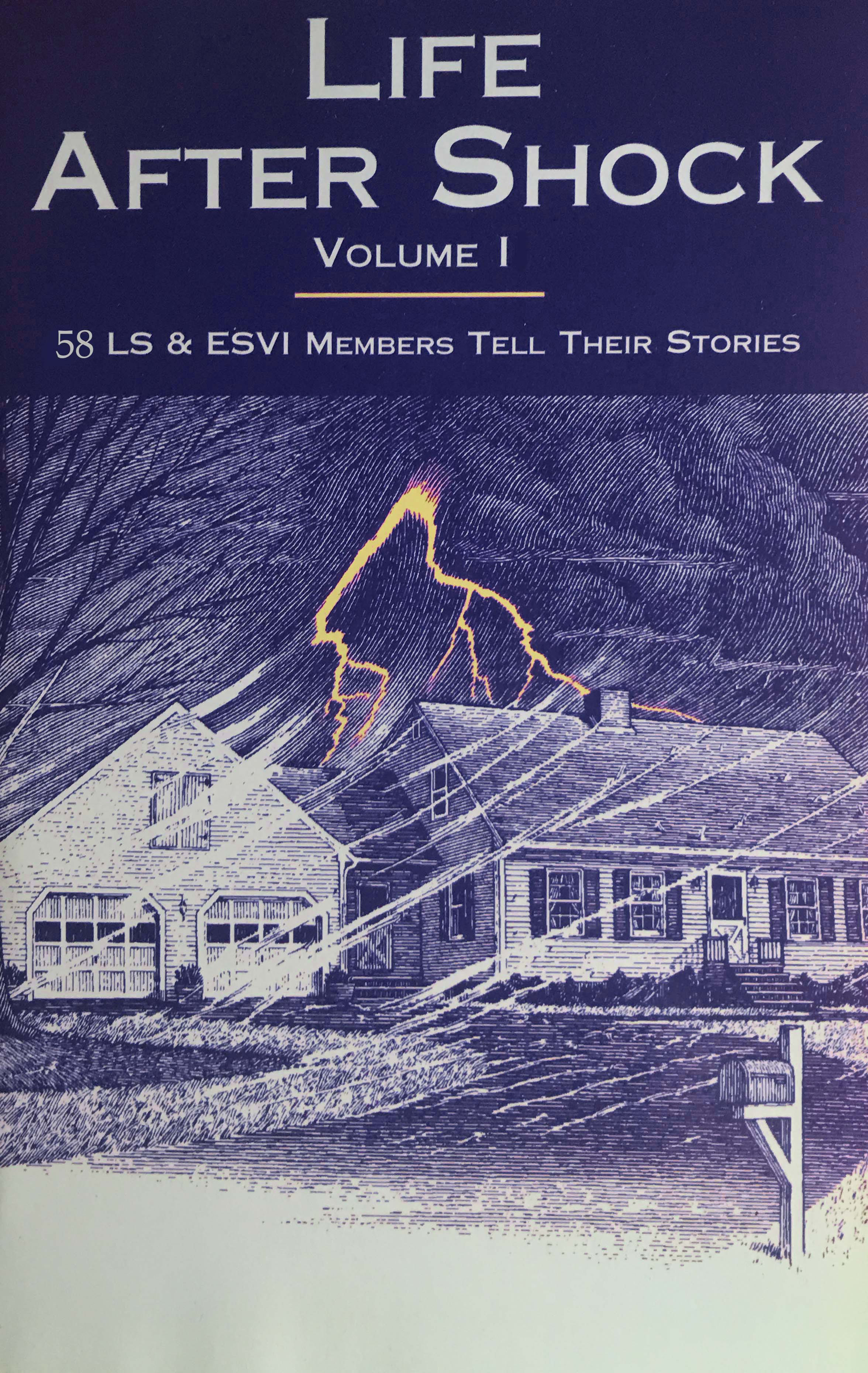 Life After Shock, Vol. I