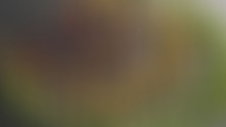 Leveraging Your Sphere of Influence (S.O.I) 