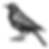 full bodied black bird without background.png