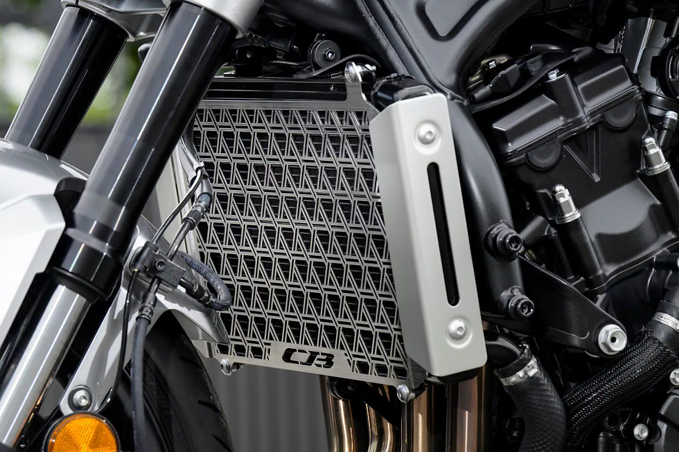 The Honda CB1000F gets a radiator guard