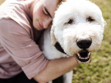 The Incredible Benefits of Owning an Emotional Support Dog