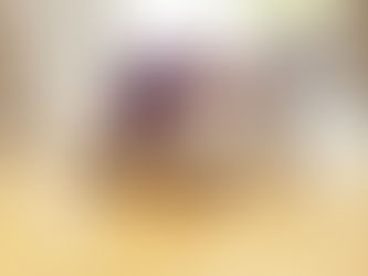 Meet Cody, the mini Whoodle