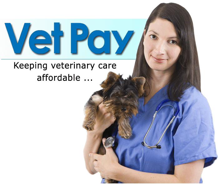 vetpay-website-logo-wfwawovnjfly.gif