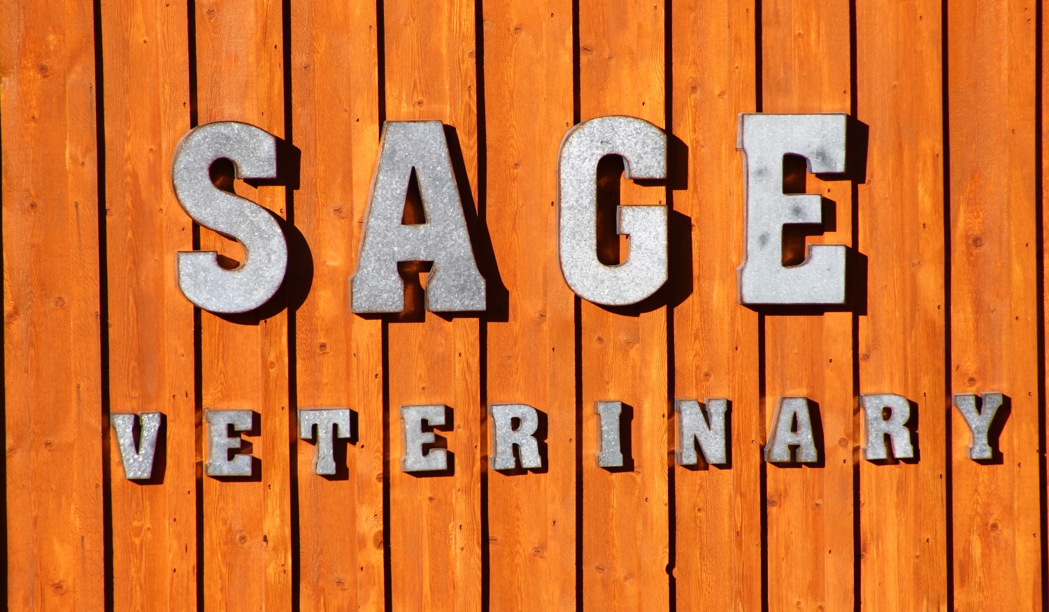 Sage Veterinary Services Veterinarian in Baggs, WY