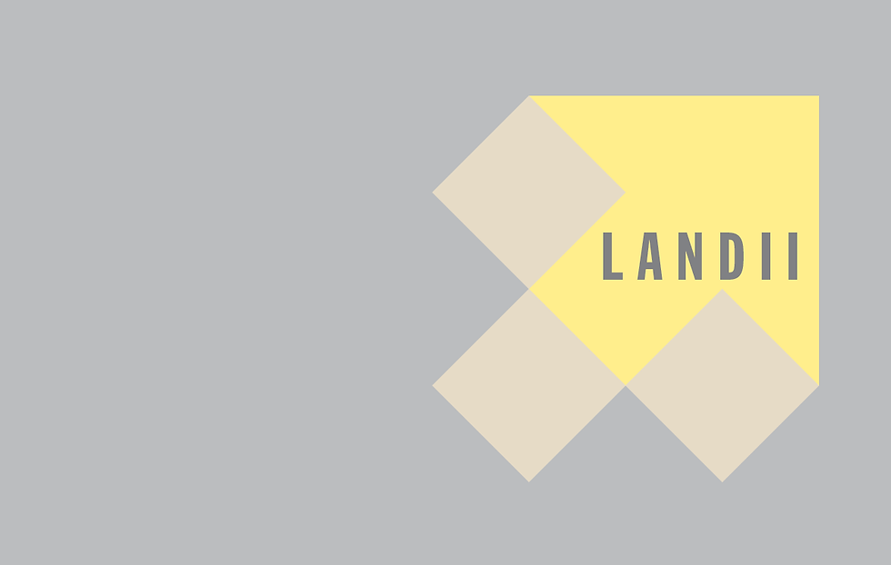 Landii branding