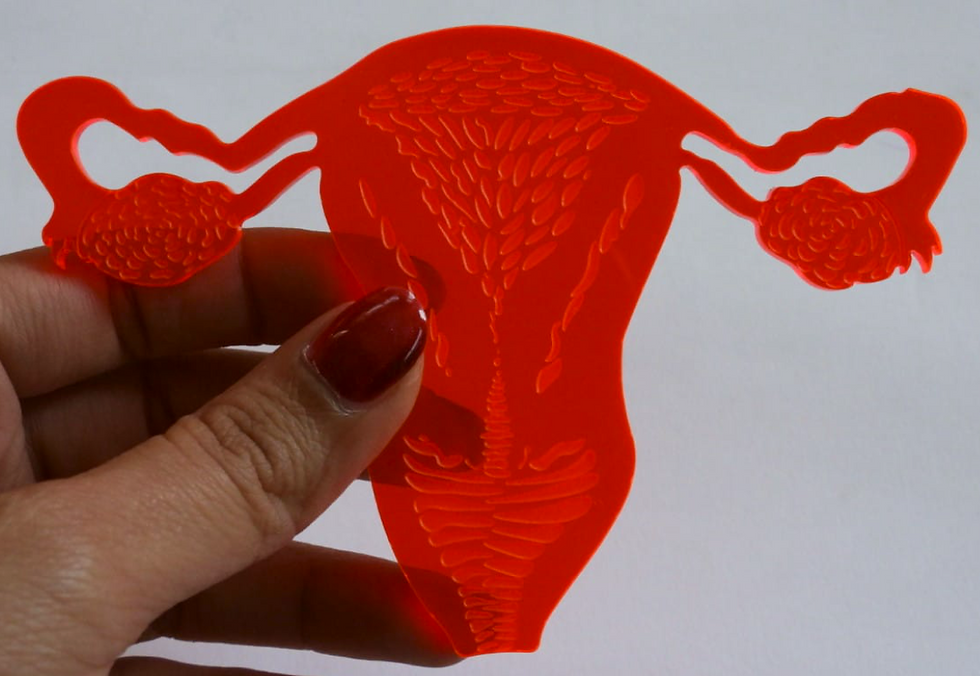 hand holding the cutout of the uterus
