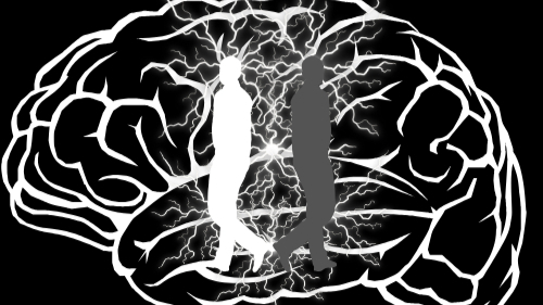 Writer: ZRZ Official